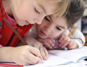 Curriculum