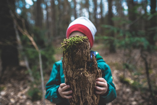 Benefits of Forest School for Children