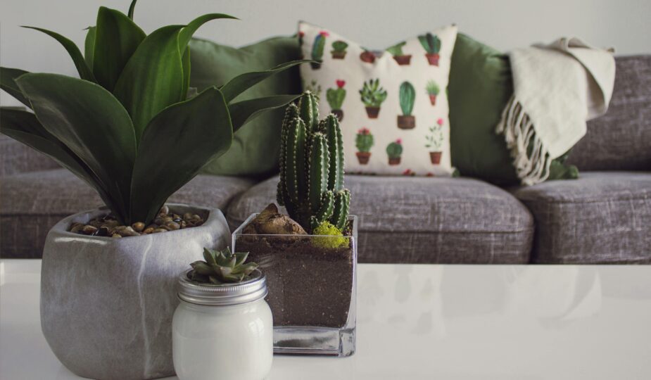 Creating a Greener Home with Heat Pump Technology