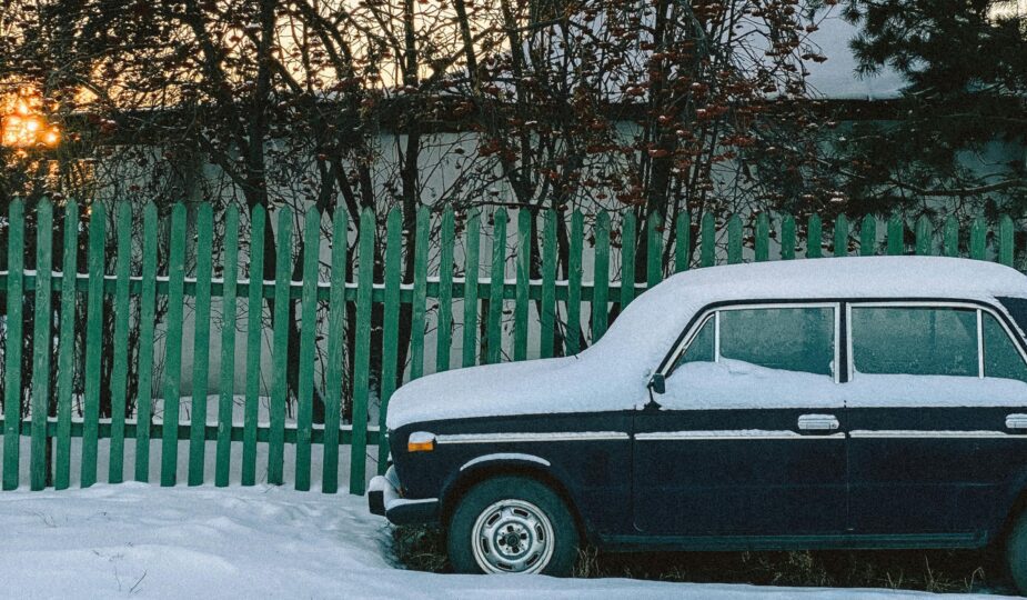 Winter-Proofing Your Garden for 2025